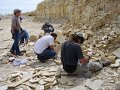 No 64 Warfield Fossils, Wyoming. Some of our group looking for fish fossils. This a fee dig quarry. 